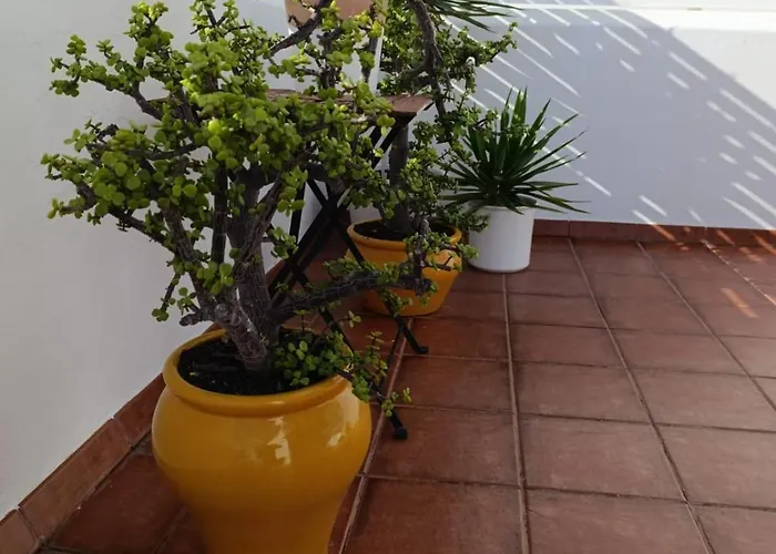 Casa Rosa Casa de Férias