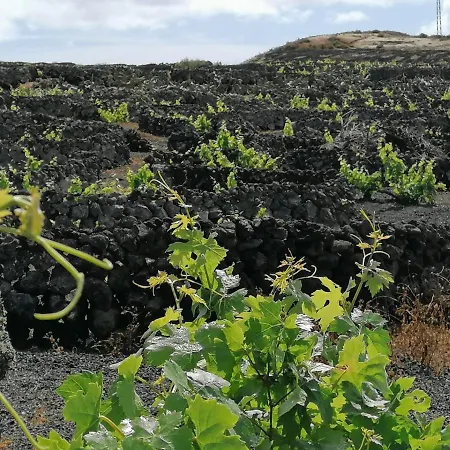 Casa Rosa * Puerto Calero